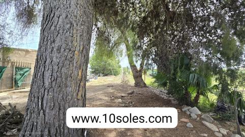 Foto 4 de Terreny en venda a Callosa de Segura, Alicante