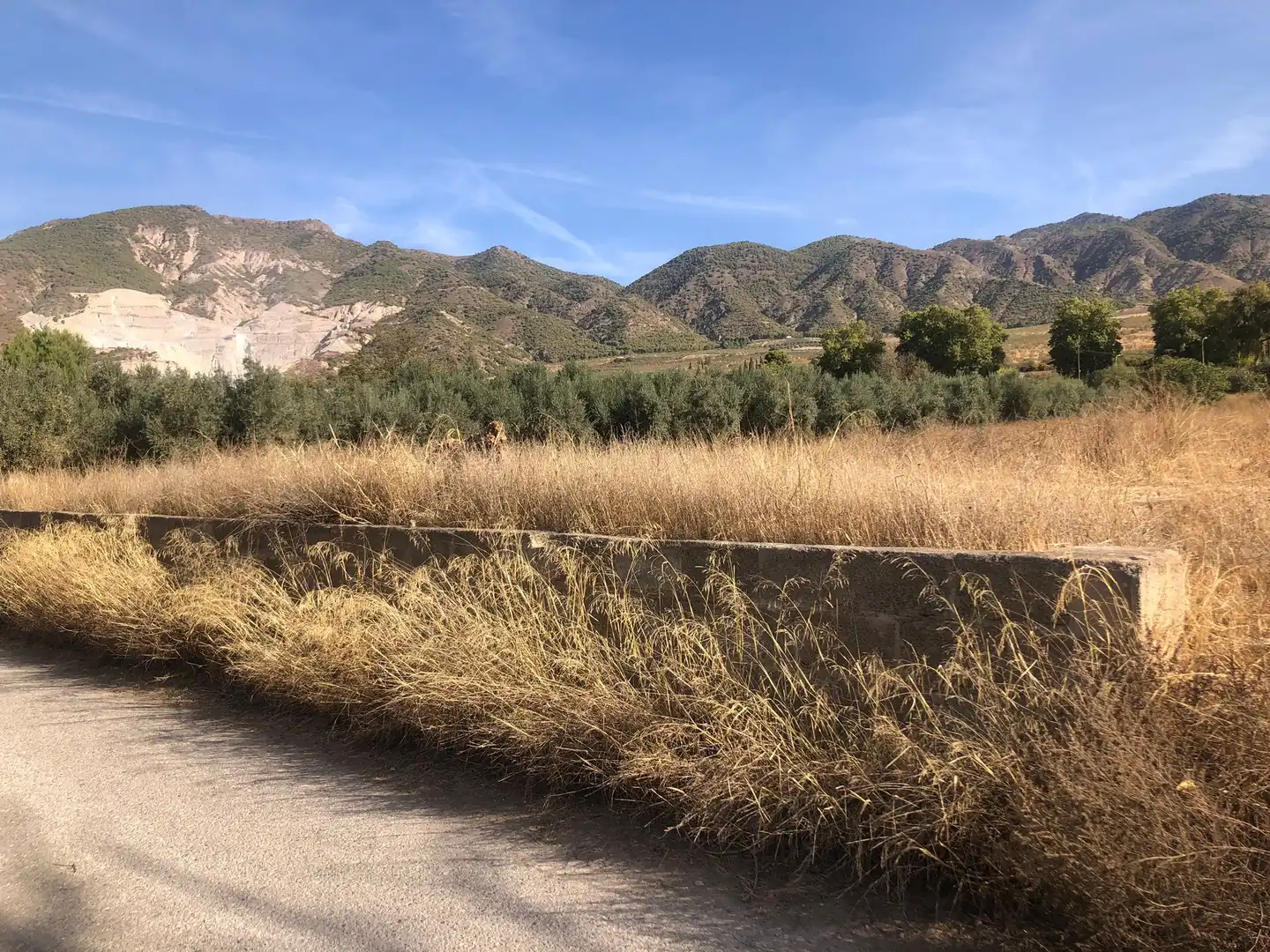 Rural land for sale in N/A, imagen 3