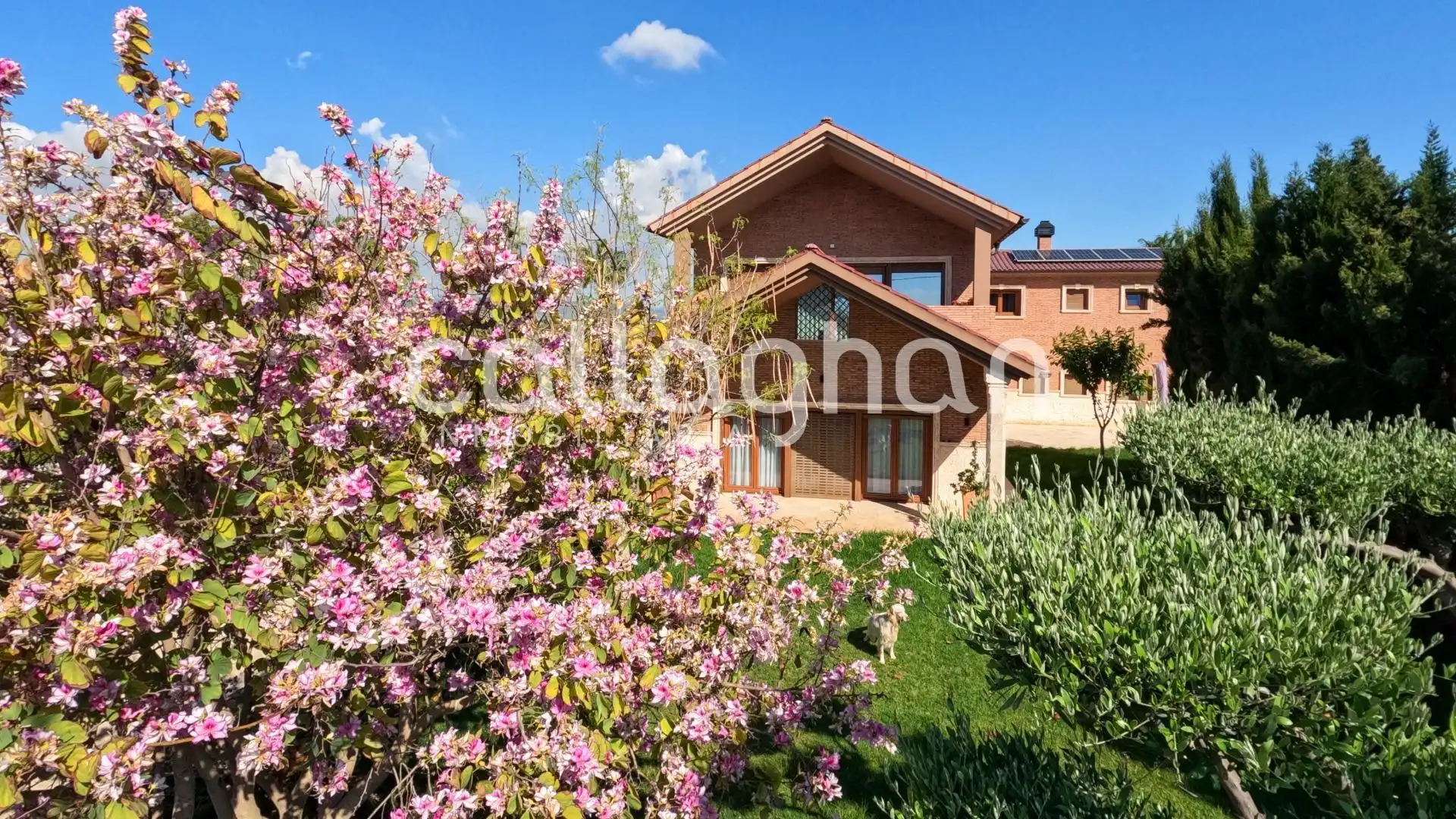 Vista exterior de Casa o xalet en venda en Burriana / Borriana amb Aire condicionat, Calefacció i Jardí privat