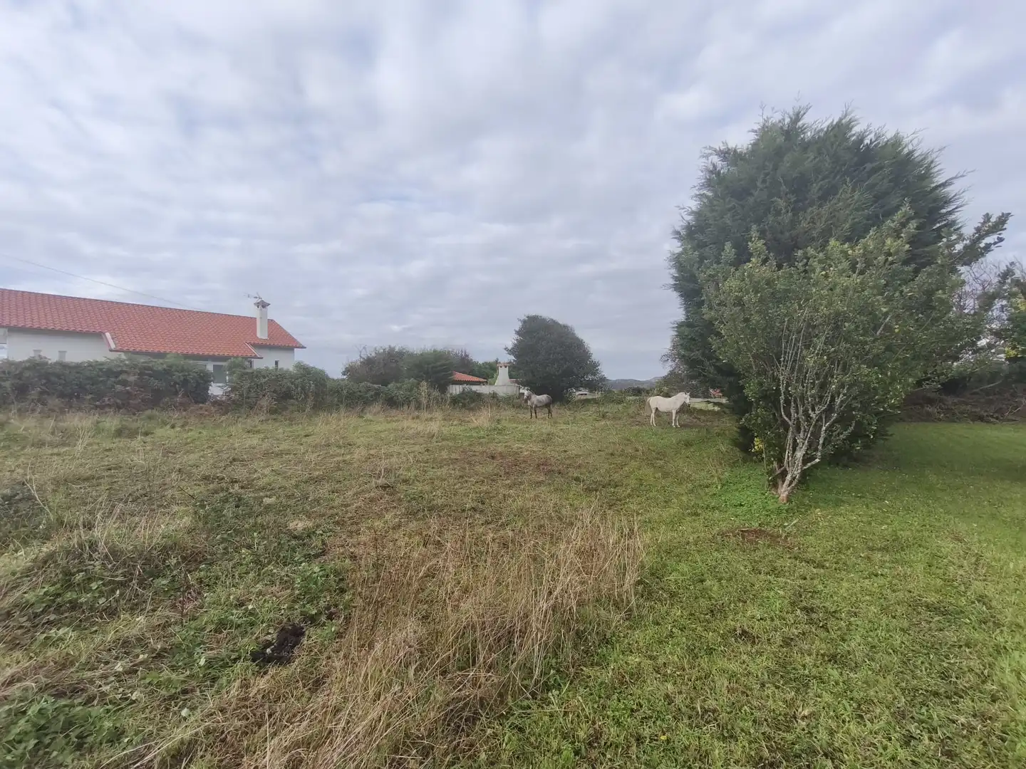 Residencial en venda en Ferrol