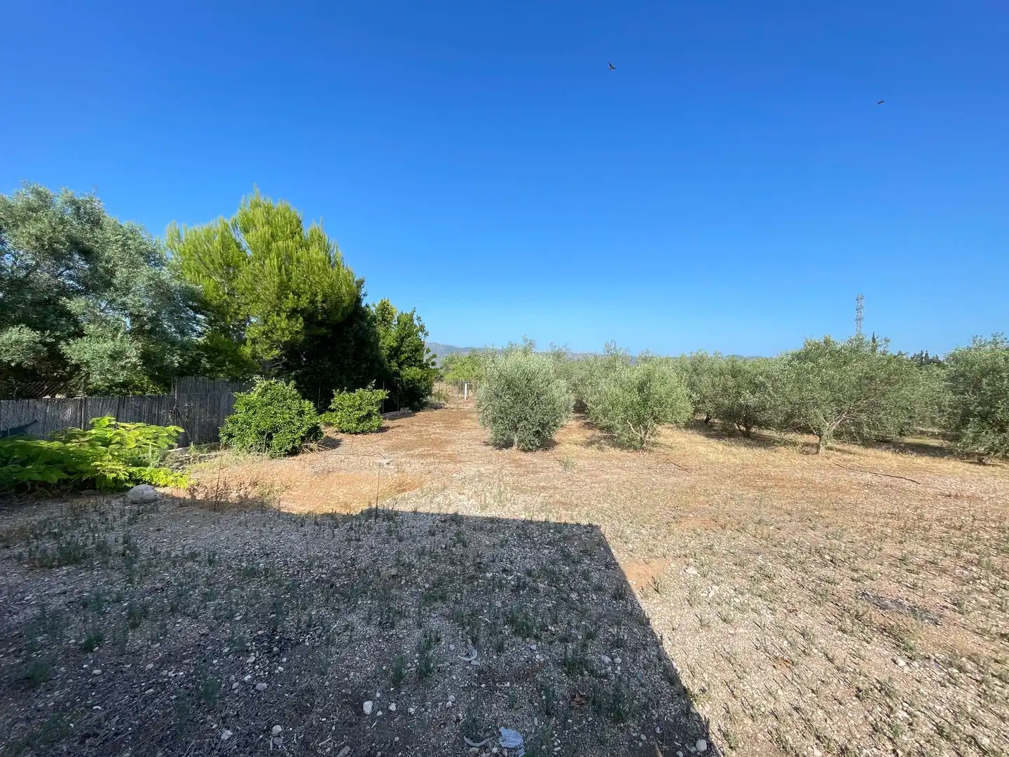 Casa con piscina en venta en sant bernabe, imagen 11