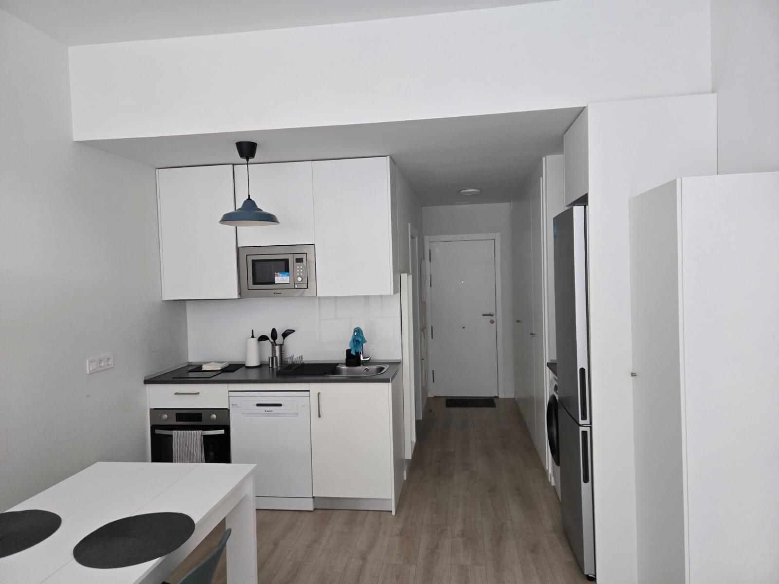Cuina de Loft de lloguer en  Madrid Capital amb Aire condicionat, Terrassa i Balcó