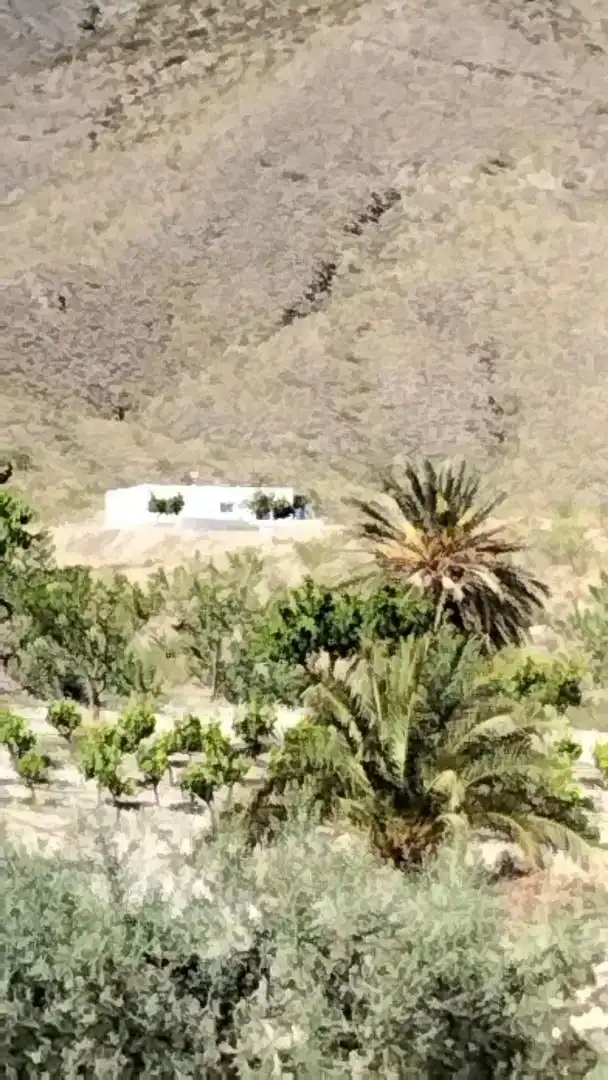 Vista exterior de Casa o xalet en venda en Uleila del Campo amb Aire condicionat