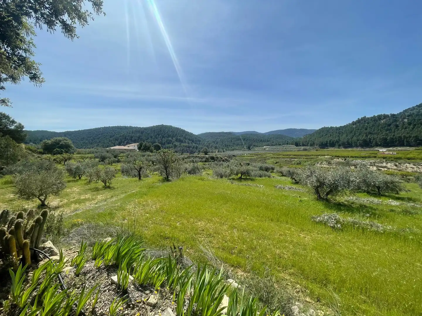 Casa con terrazza in vendita a Cehegín, imagen 7