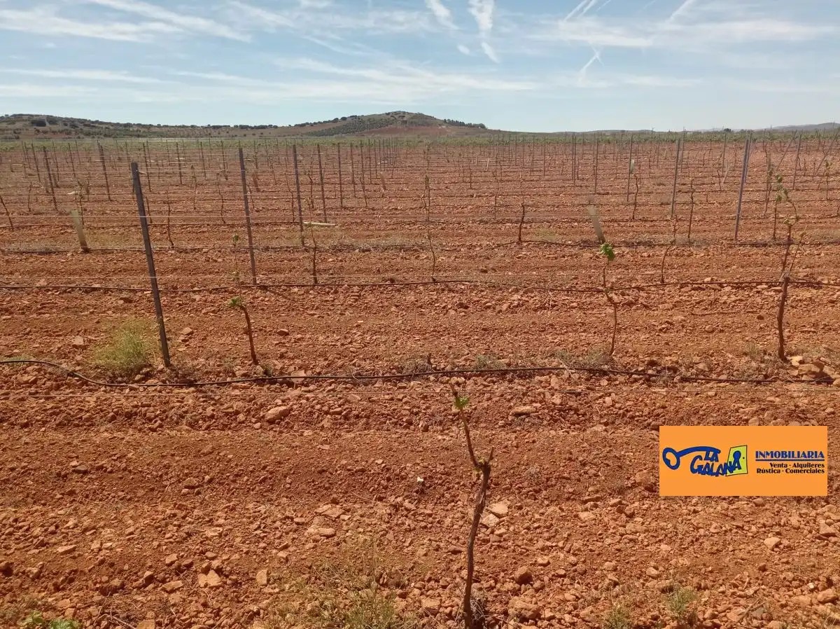 Finca rústica en venda en Torrenueva