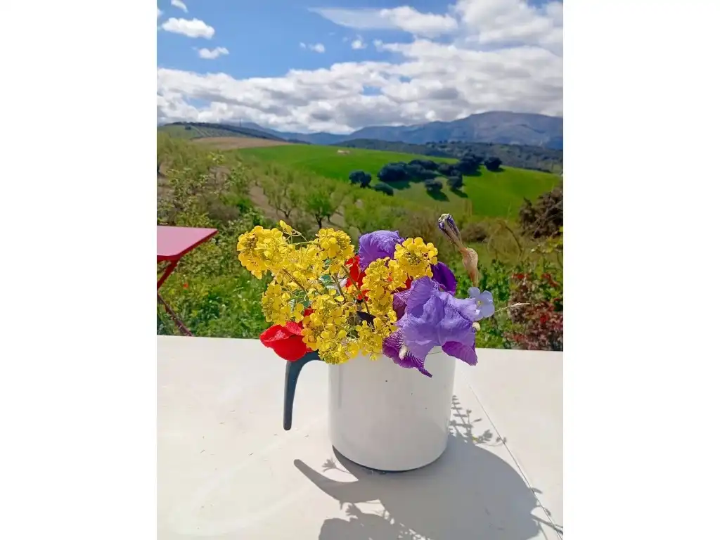 Terraza de Casa o chalet en venta en Alhama de Granada