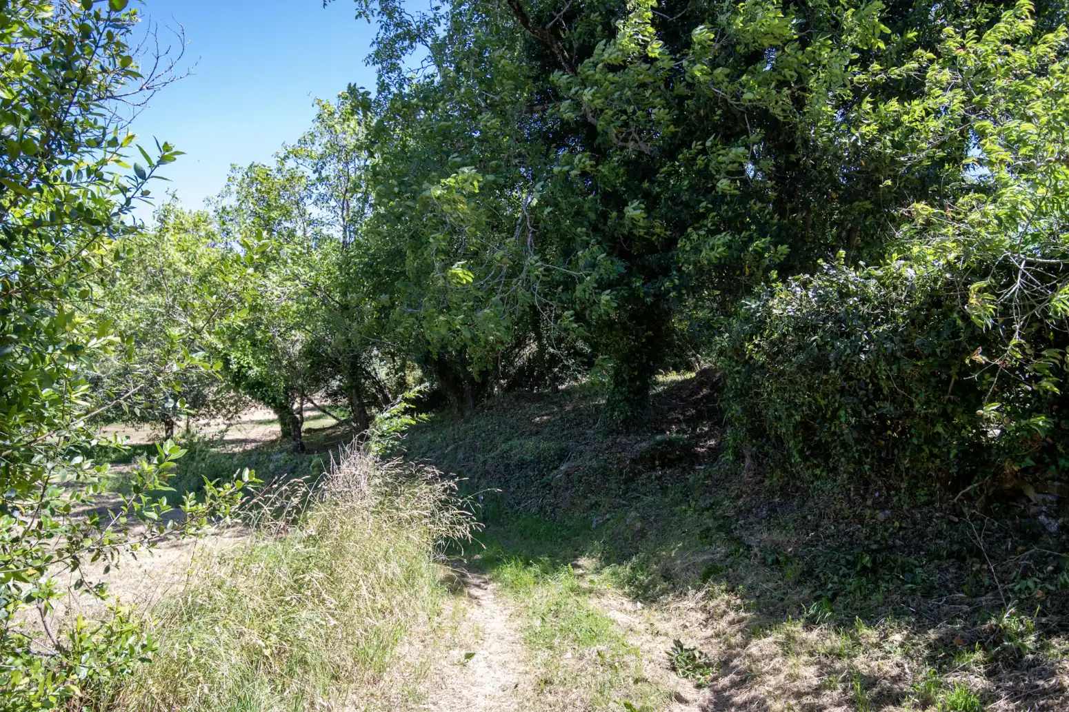Terreno en venta en Villaviciosa