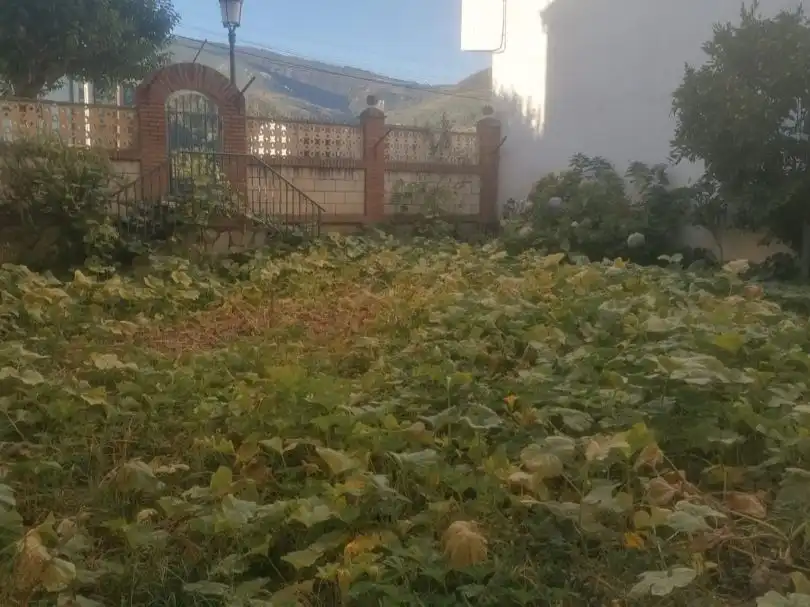 Pis amb jardí en venda a Rua da veiga 6, imagen 14