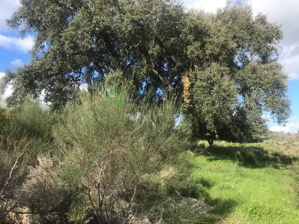 Casa en venta en San Vicente de Alcántara, imagen 7