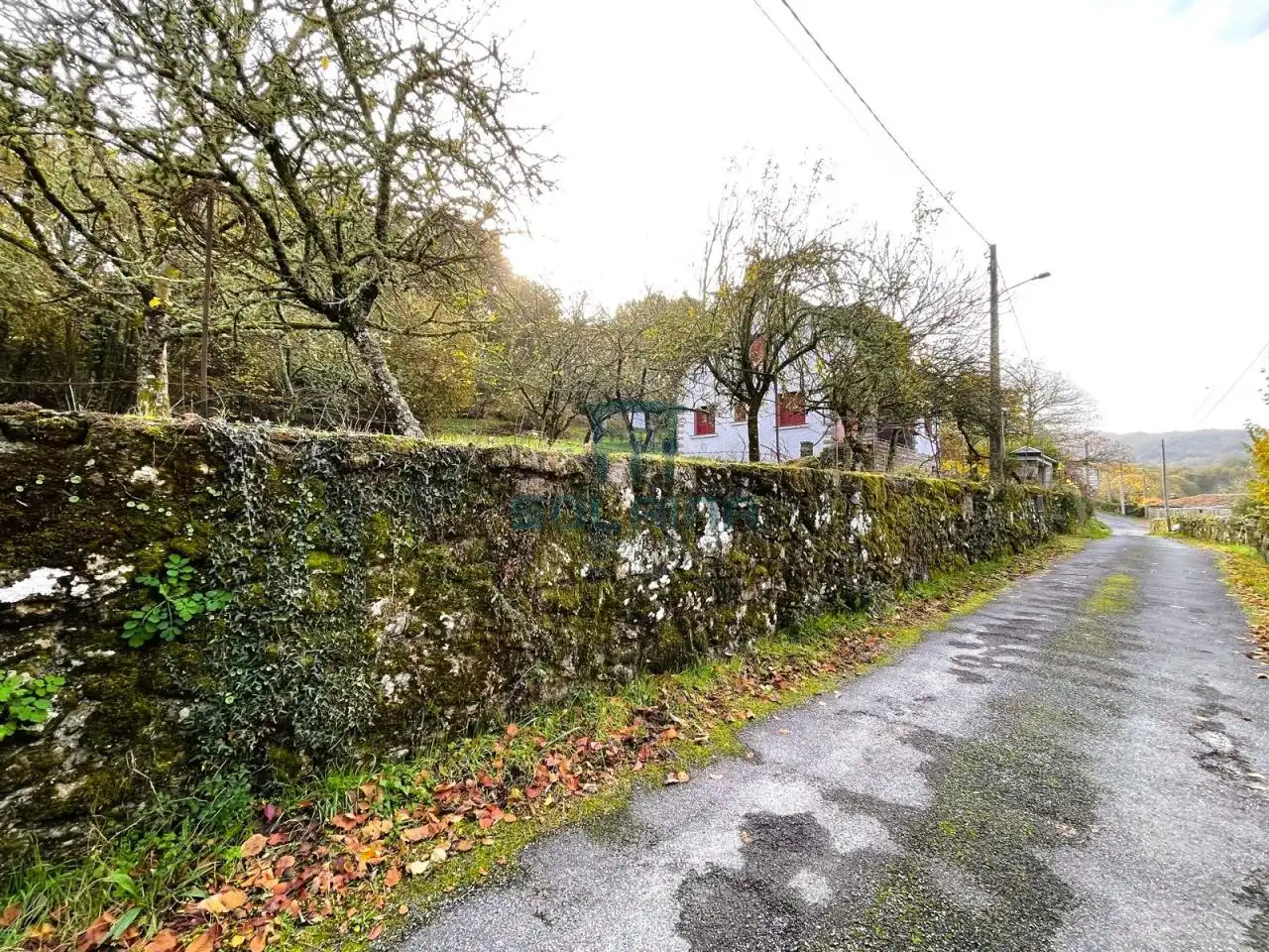 Vista exterior de Casa o chalet en venta en Baños de Molgas con Calefacción y Jardín privado
