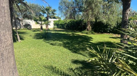 Photo 4 of Houses for sale in Pedanías Norte, Utrera