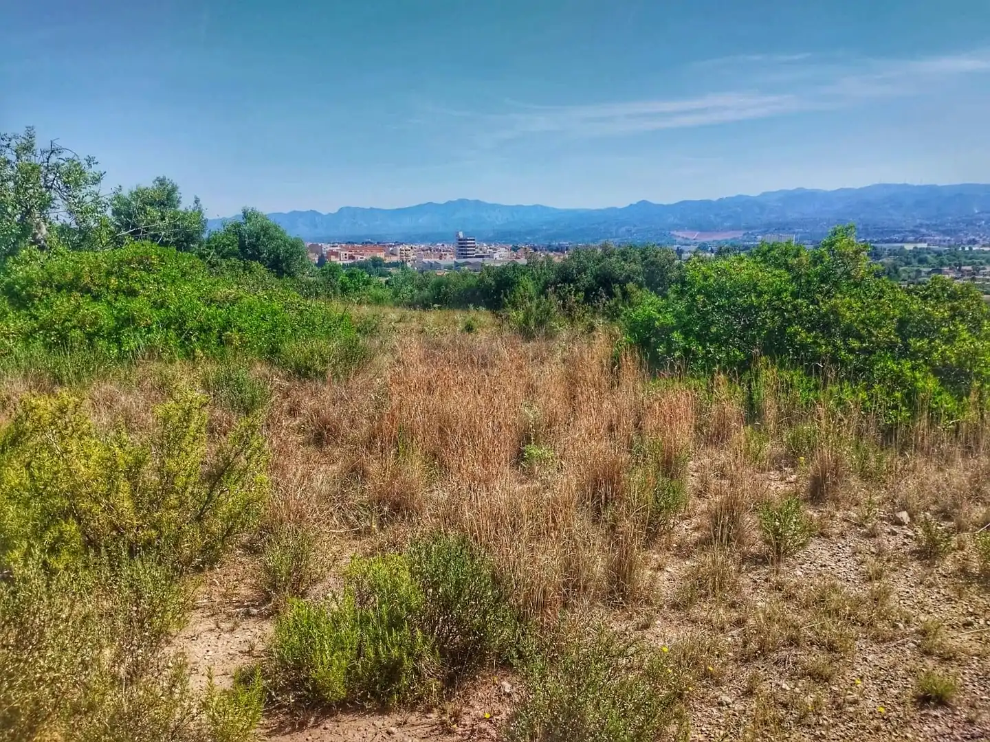 Terrain rustique à vendre à Roquetes, imagen 4