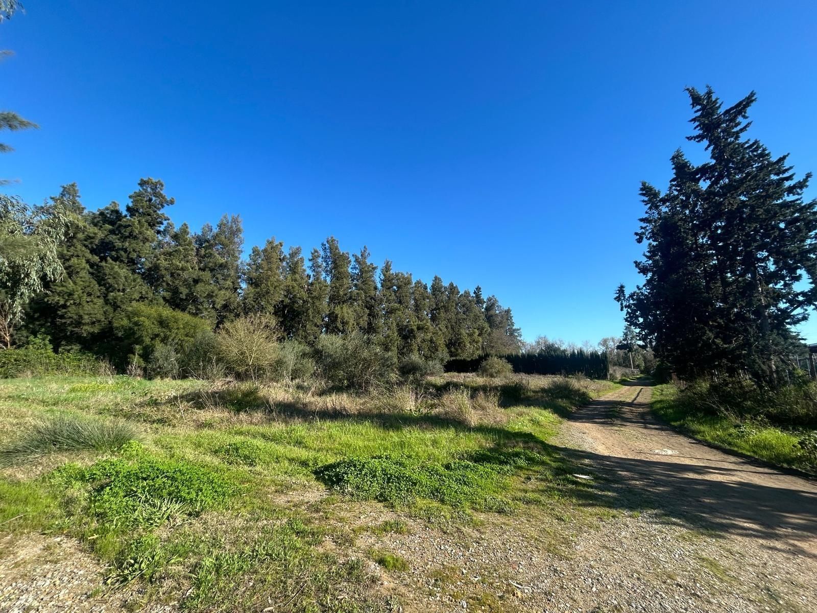 Land for sale in Utrera