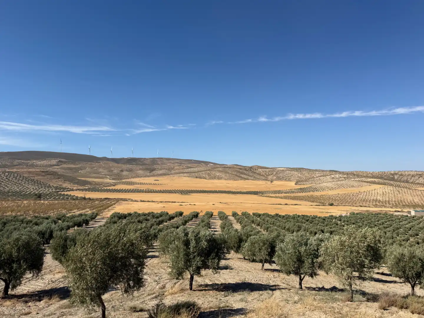 Terreno rustico in vendita a Camino de Alhendín, imagen 3