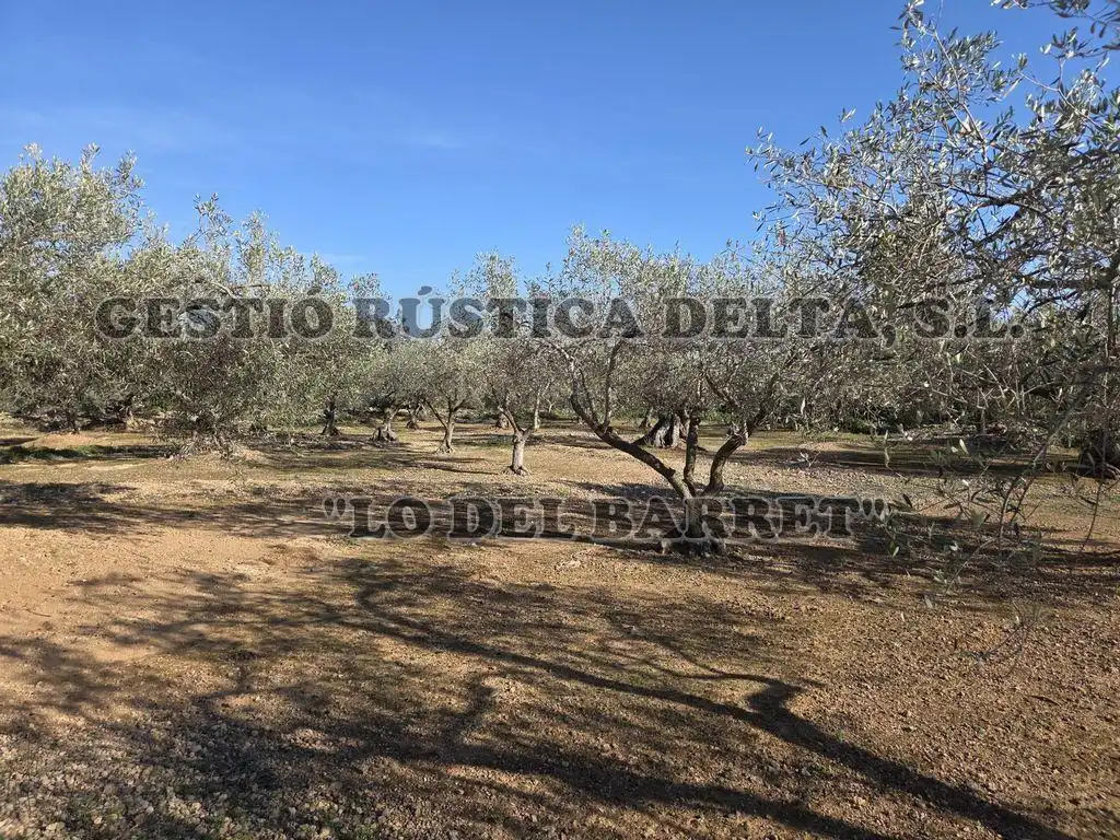 Finca rústica en venda en L'Ampolla amb Terrassa