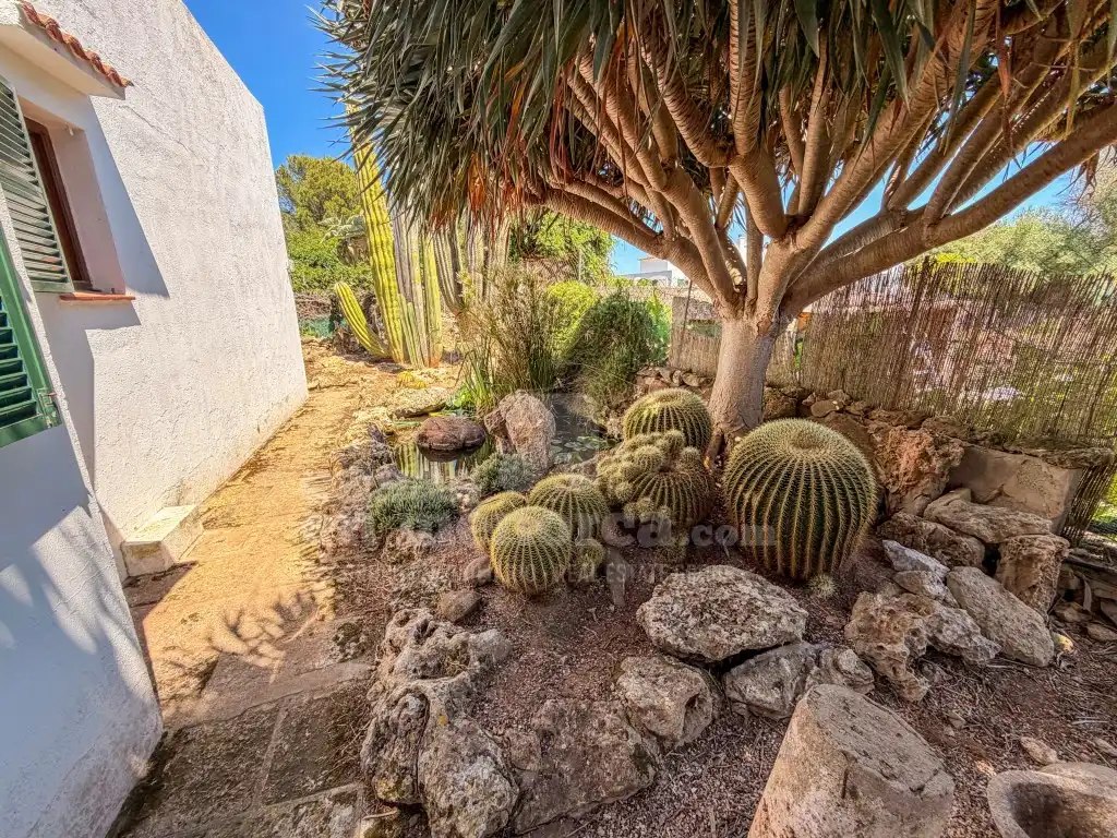 Jardí de Finca rústica en venda en Ciutadella de Menorca amb Aire condicionat i Terrassa