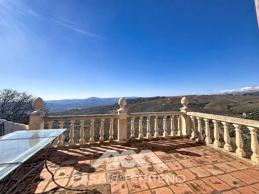 Terraza de Casa o chalet en venta en Periana con Jardín privado, Terraza y Lavadora