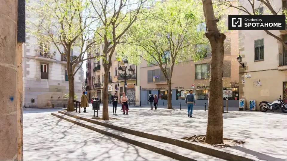 Appartamento con terrazza in affitto a Ciutat Vella, imagen 14