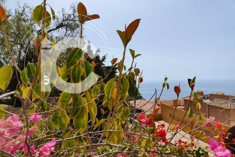 Chalet con piscina en venta en marina del este, imagen 52