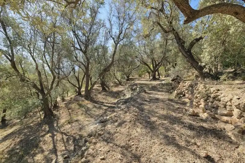 Terreno rustico in vendita a El Pinar, imagen 8