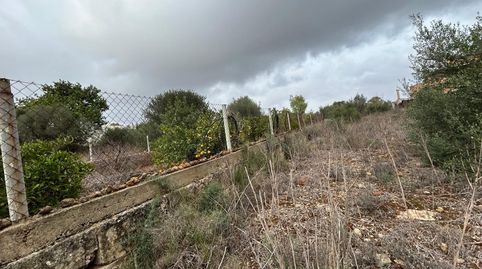 Foto 5 de Residencial en venta en Pòrtol, Marratxí