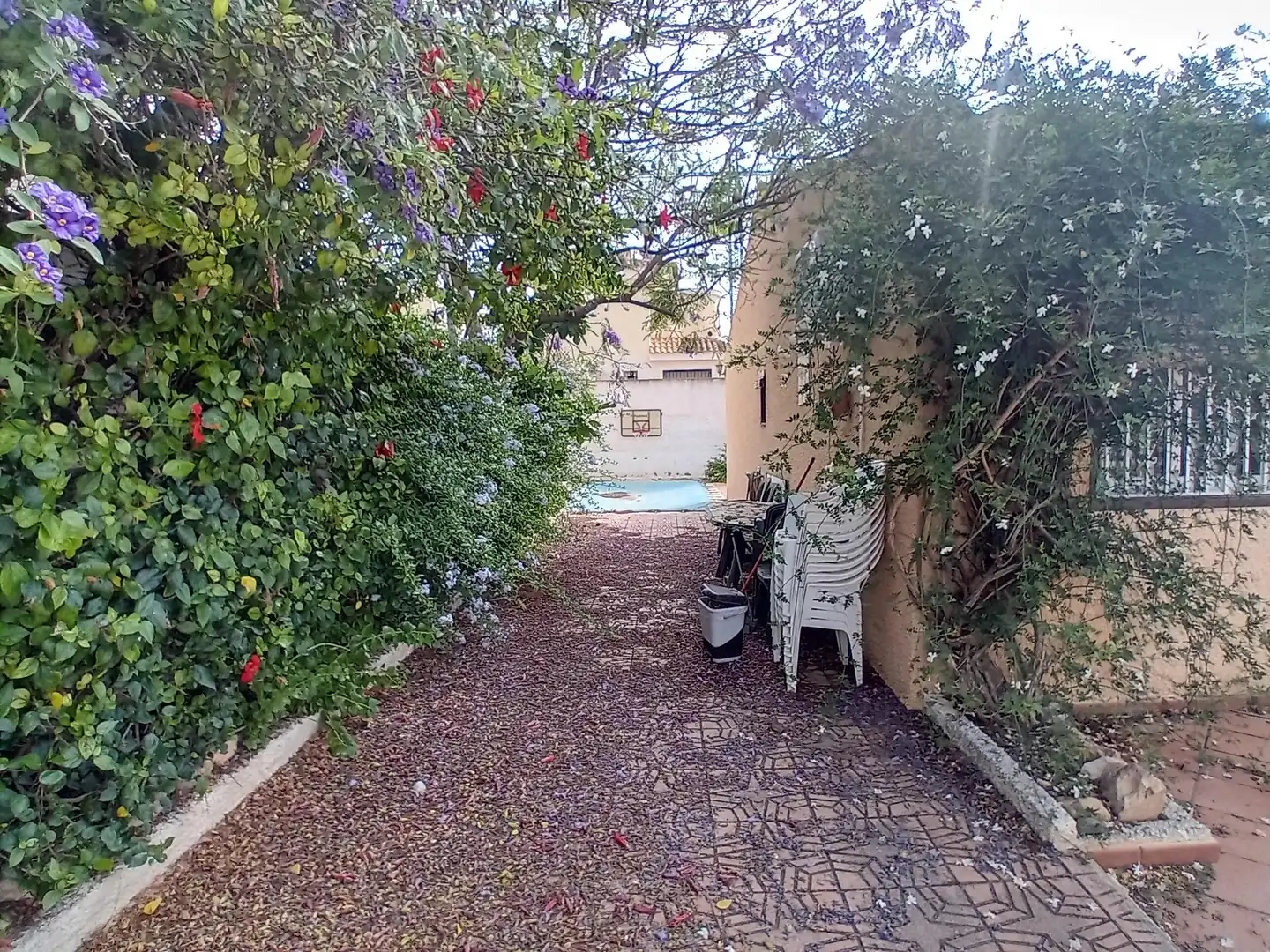 Logement avec piscine à vendre à junco, imagen 17