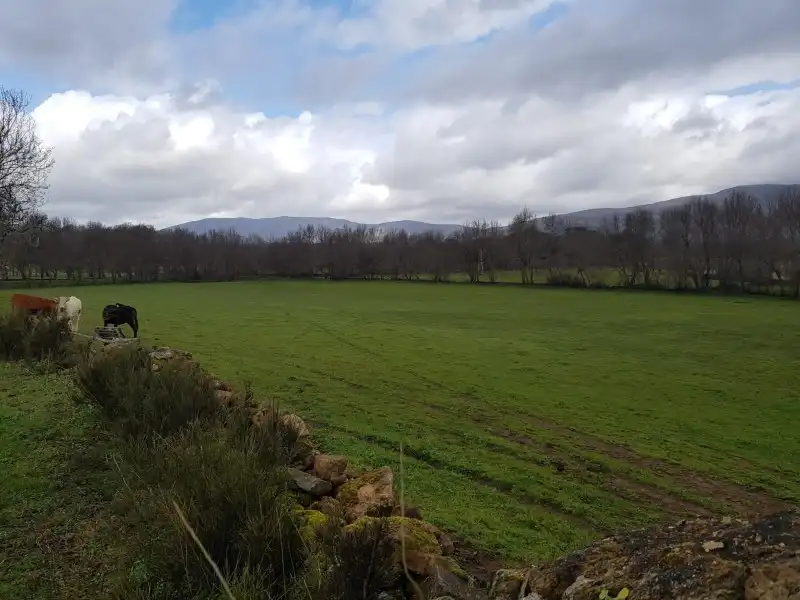 Terreni e lotti in vendita a Tejeda de Tiétar, imagen 2