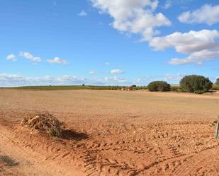 Land for sale in Iniesta