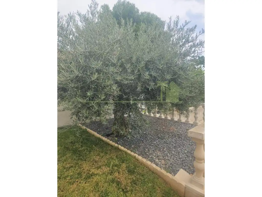 Maison avec piscine à vendre à Closa de Vinaròs - Ermita, imagen 8