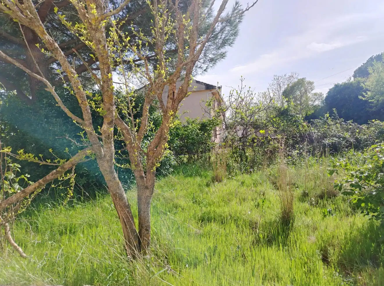 Casa o chalet en venta en Pedrezuela con Calefacción, Jardín privado y Terraza