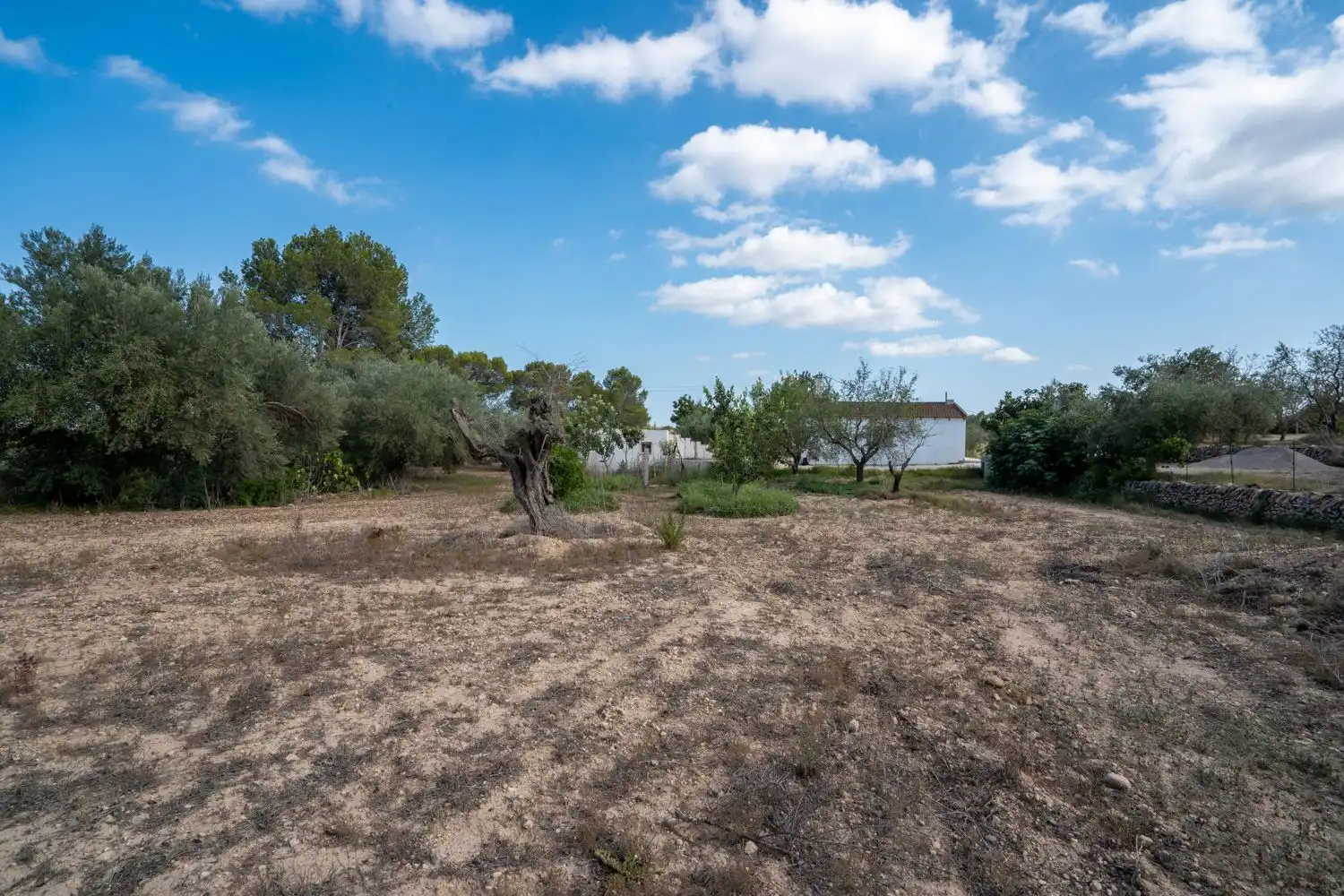 Casa o xalet en venda en Tortosa amb Traster, Piscina i Moblat