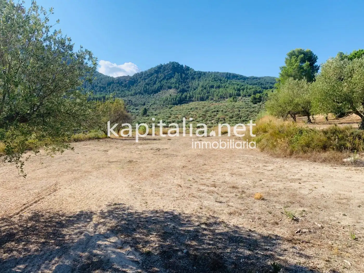 Terreno residencial en venta en Alfafara, imagen 10