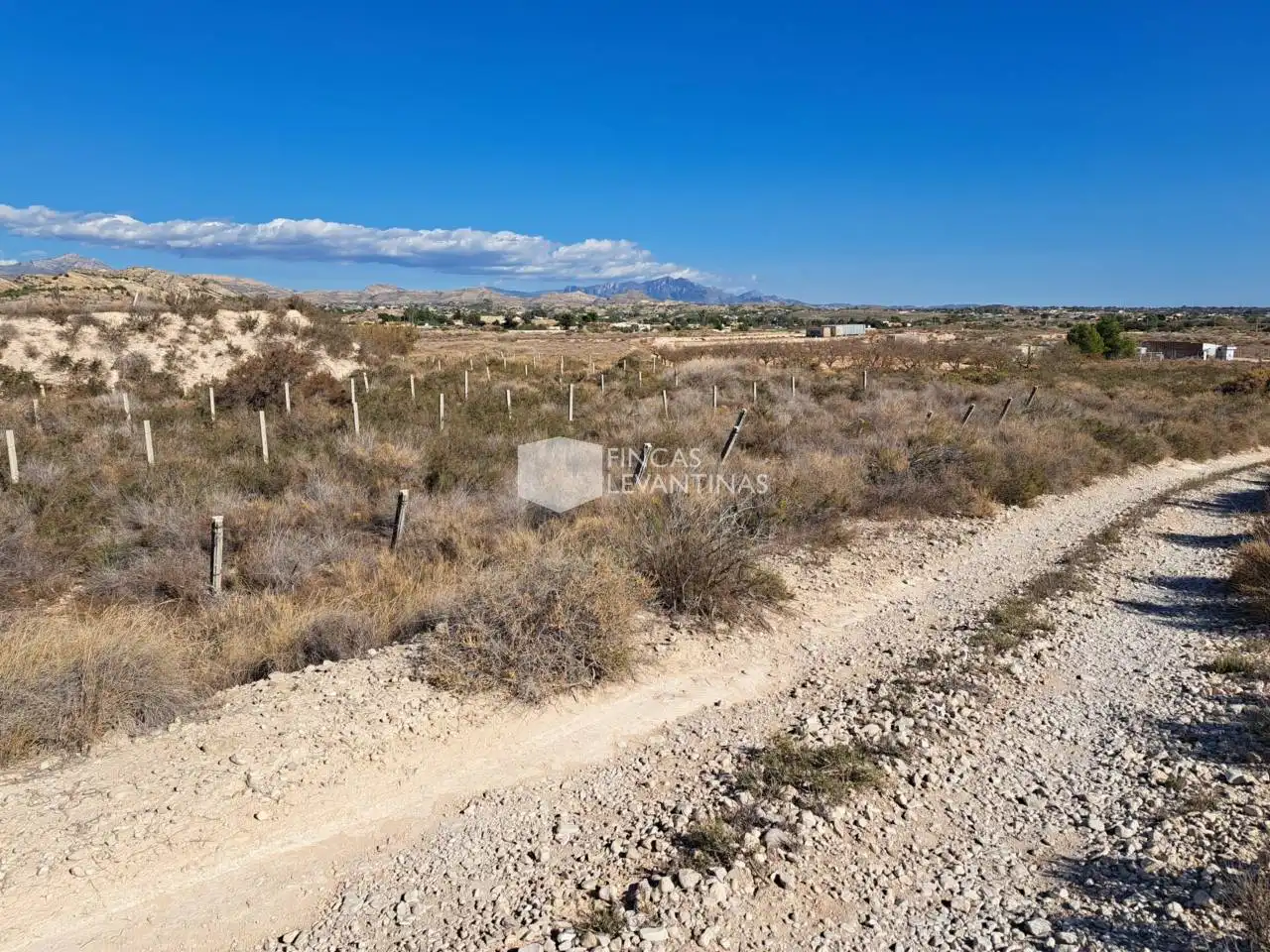 Terreny residencial en venda a Partidas de Alicante, imagen 21