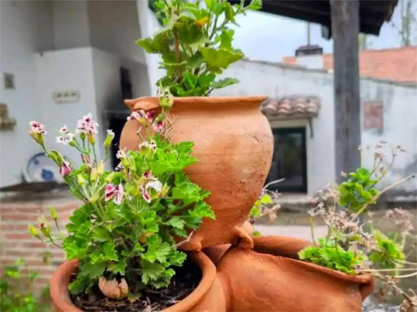 Jardí de Finca rústica en venda en Valladolid Capital amb Aire condicionat, Piscina i Balcó