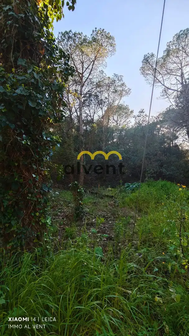 Rural land for sale in Manxa, imagen 26