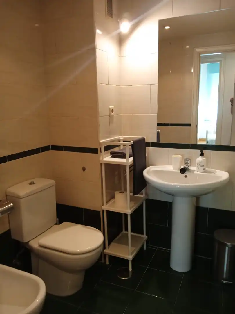 Flat with pool to rent in Calle de la Ribera de Curtidores, imagen 12