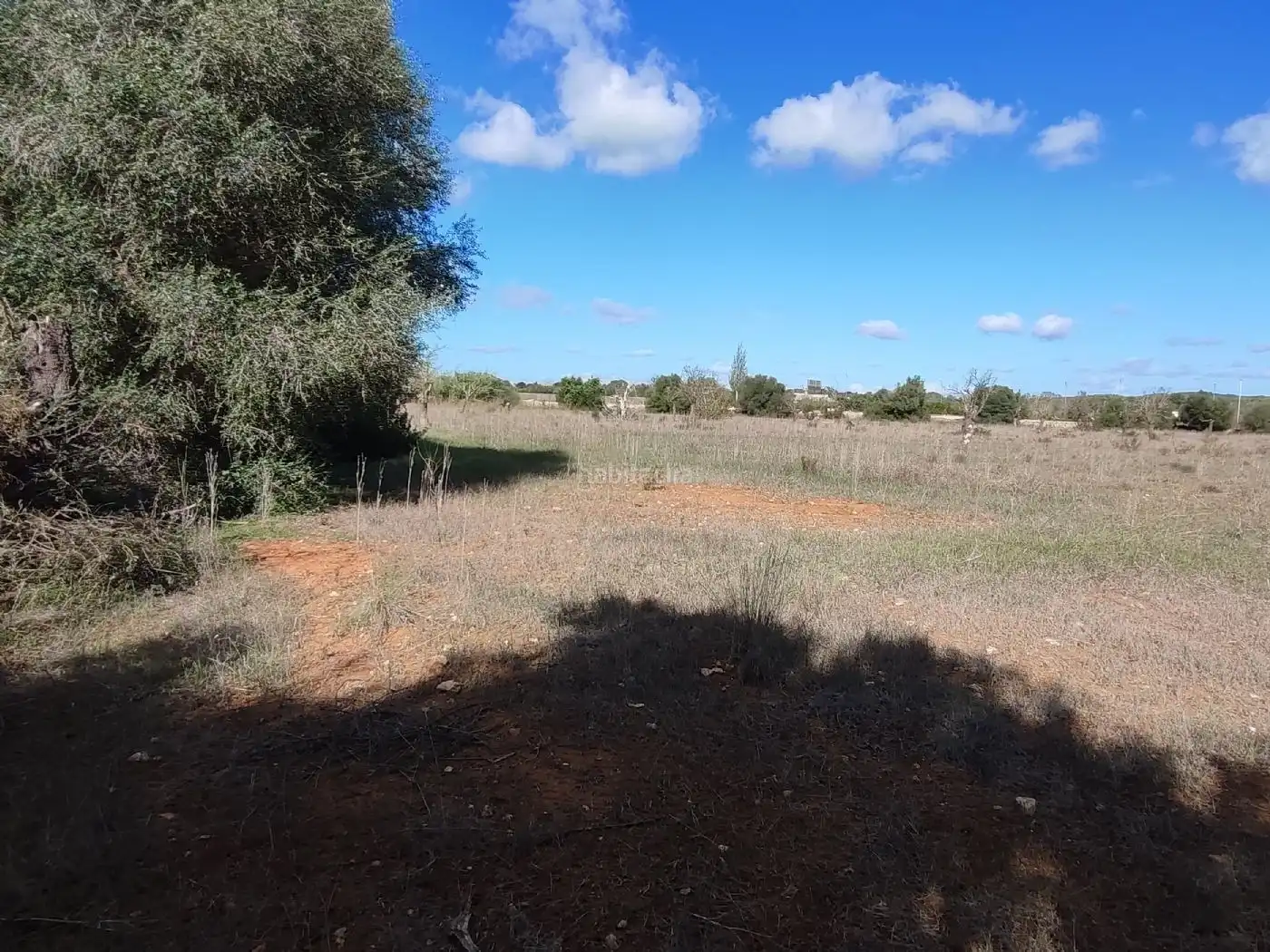 Wohnbaugrundstück zum Verkauf in Camí de son Antelm 89, imagen 7