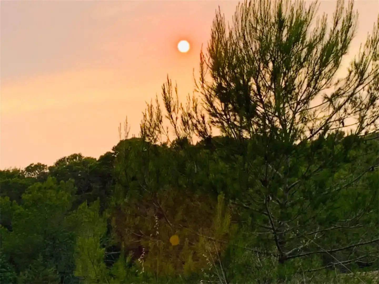 Vista exterior de Finca rústica en venta en Eivissa