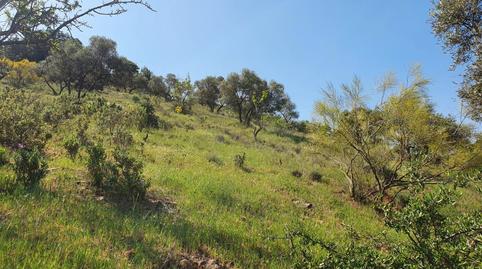 Foto 4 de Finca rústica en venda a Alegría de la Huerta- Jardín de Málaga, Málaga