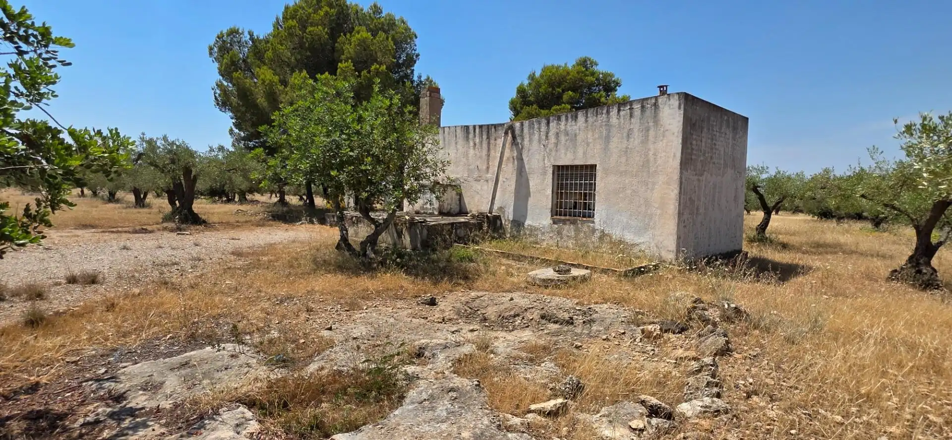 Maison rustique à vendre à L'Ametlla de Mar pueblo, imagen 17