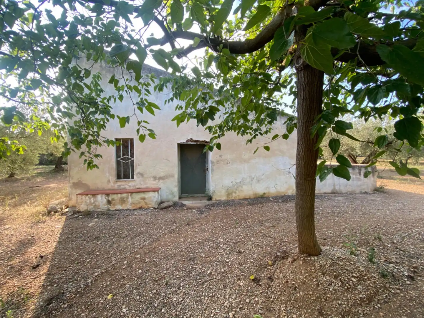 Casa rústica con piscina en venta en Ulldecona