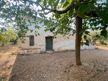 Landhaus mit Pool zum Verkauf in Ulldecona
