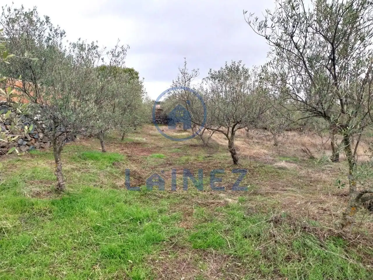 Lands and plots for sale in Fuente Obejuna, imagen 13
