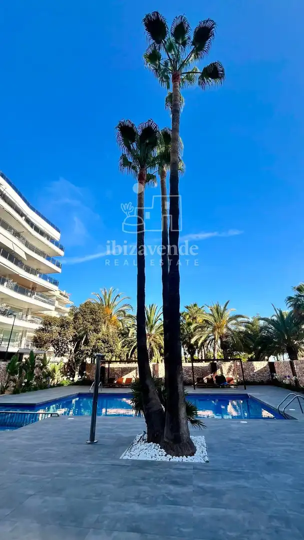 Appartamento con piscina in vendita a Juan Carlos I, imagen 46