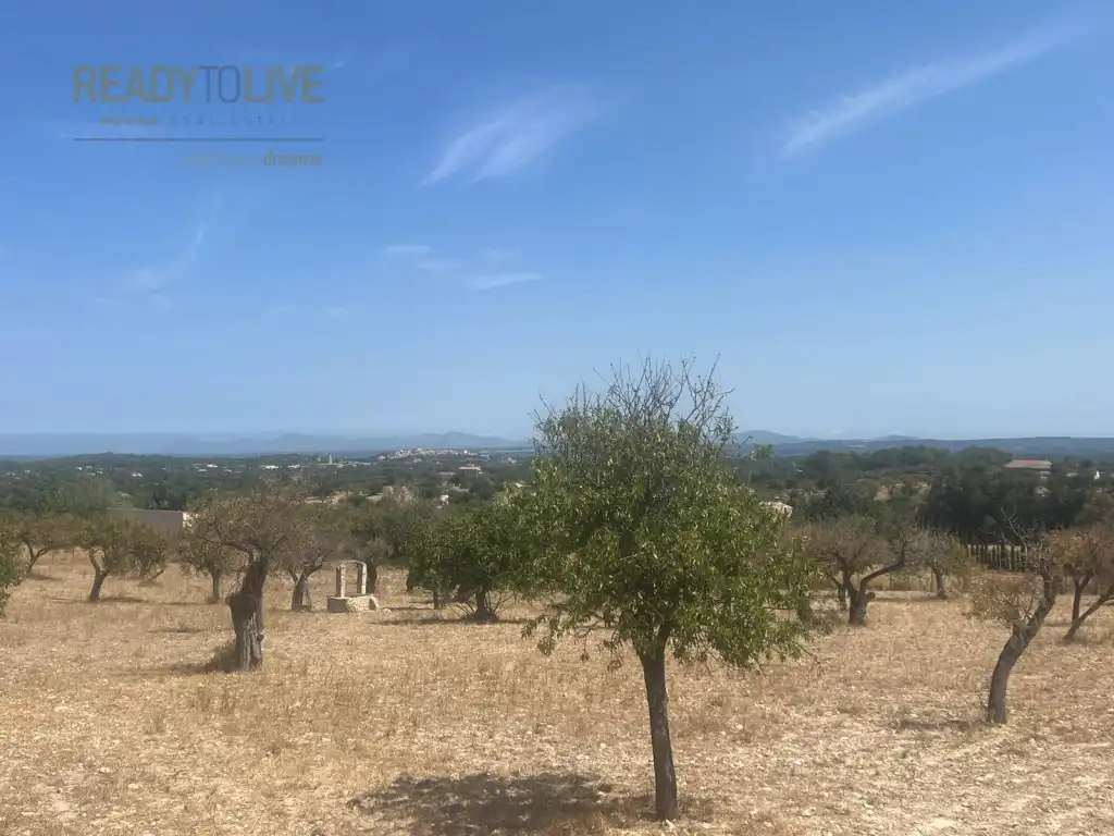 Finca rústica en venda en Selva amb Jardí privat