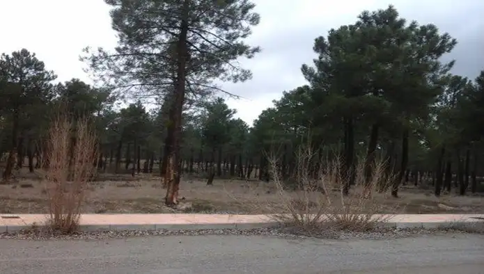 Terreni e lotti in vendita a Paraje de Bilbao, Pol 10 - Rinconada, Peña Majapan -, imagen 5