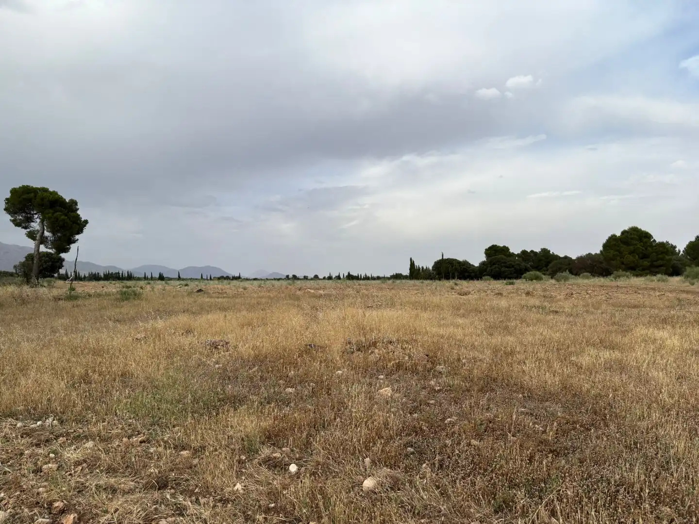 Terreno rústico en venta en Cortes de Baza, imagen 7
