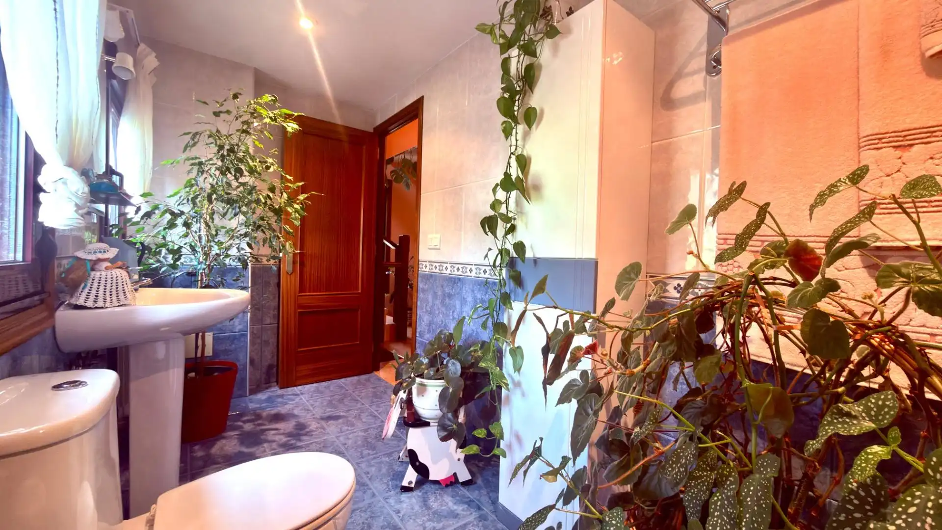 Bathroom of Houses for sale in Esgos  with Private garden, Parquet flooring and Furnished