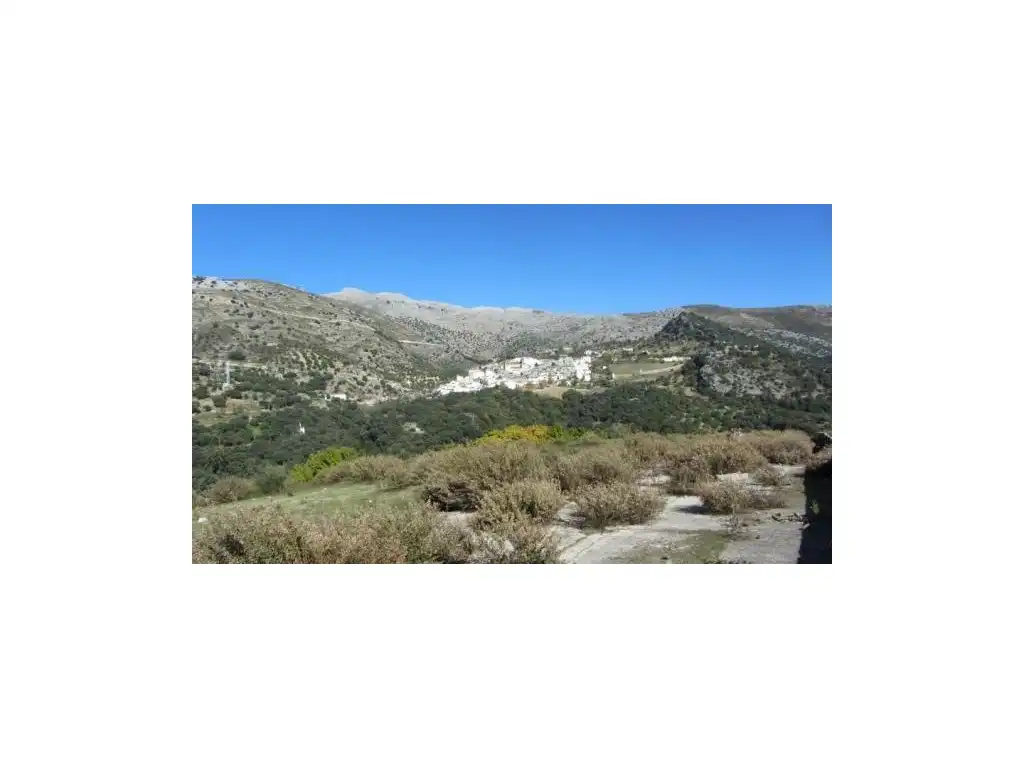 Exterior view of Houses for sale in Alpandeire