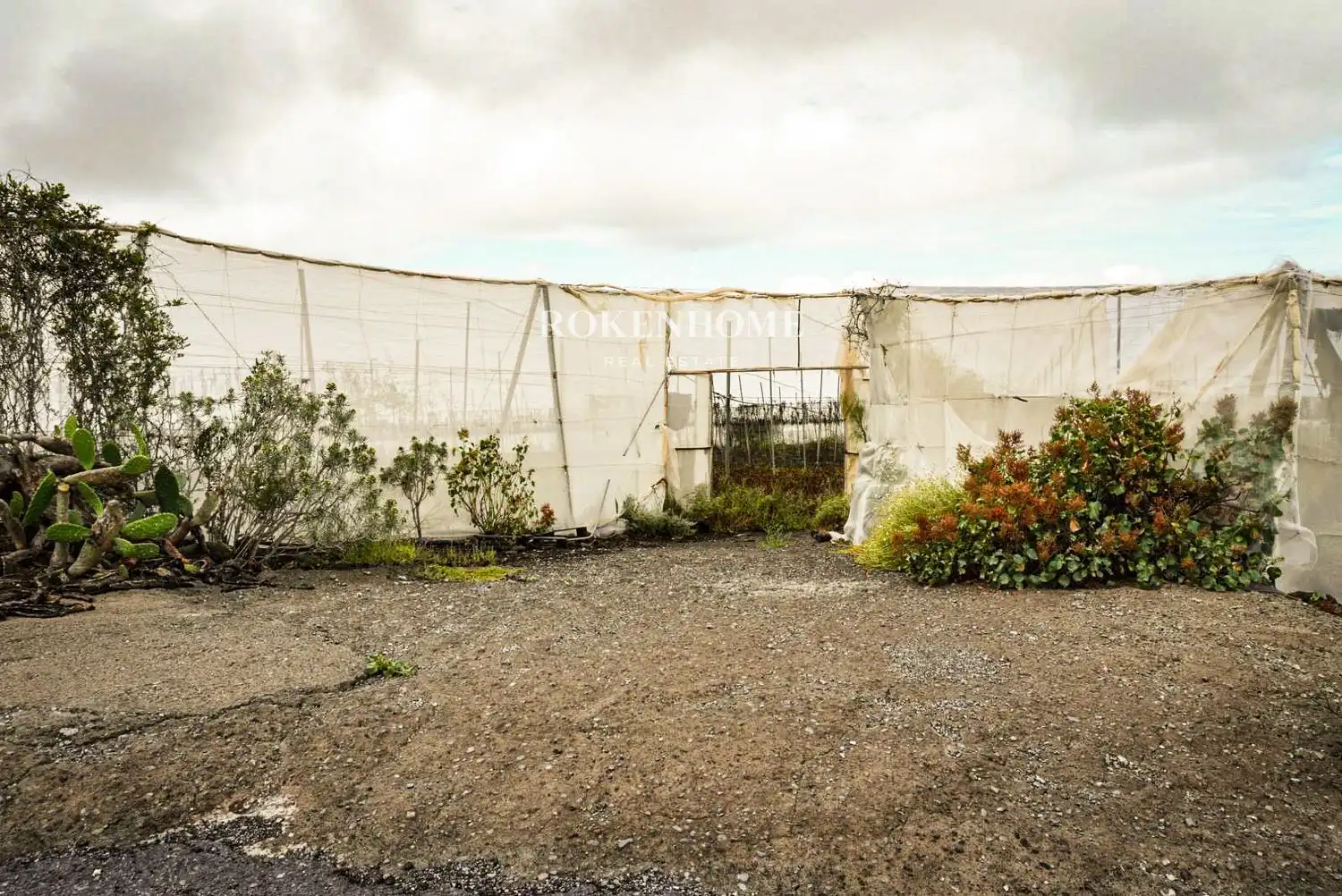 Rural land for sale in Piedra Hincada, imagen 4